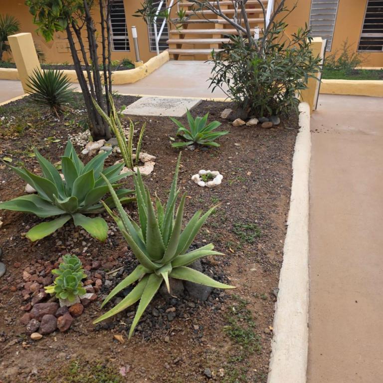 Sonia Beach Stay - Apartamento de 1 dormitorio - 9