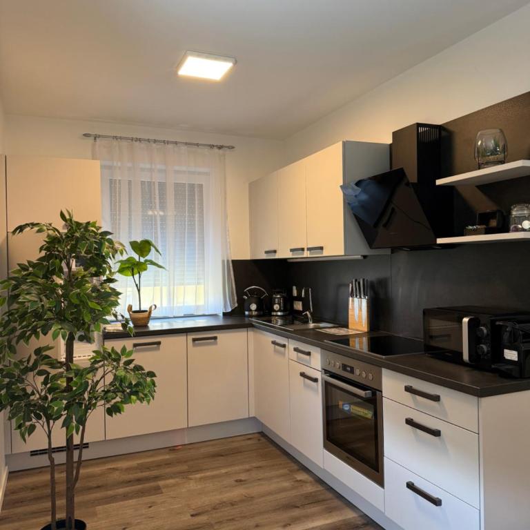 Sorinas Home - Comfortable Apartment near Graz Top 6 - Apartment mit 2 Schlafzimmern - 5
