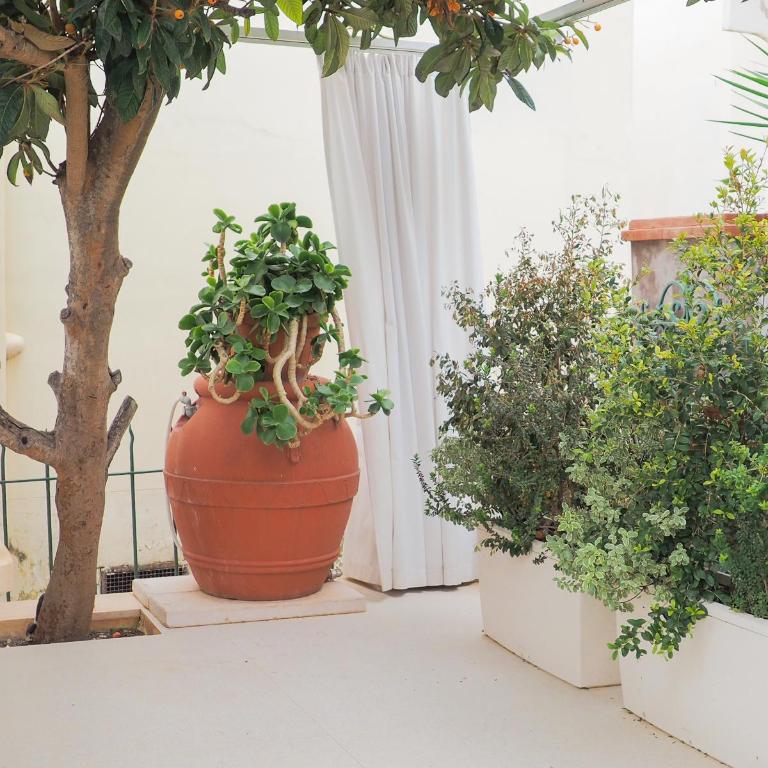 Sopramonte Exclusive Rooms - Double Room with Patio - 5
