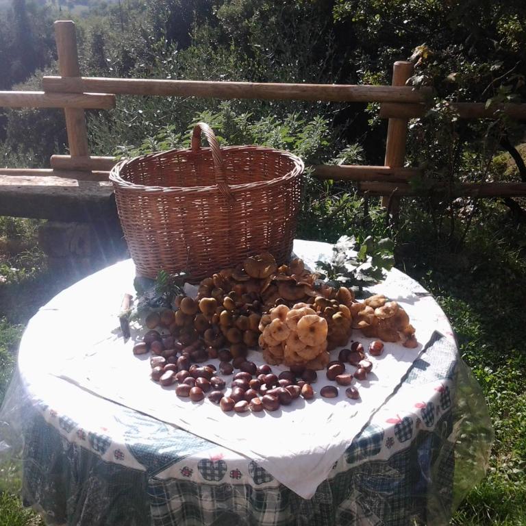 Bed and breakfast Al posto bello - Appartamento con 2 Camere da Letto - 7