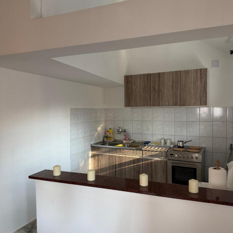 Apartman Tara - Apartman sa 1 Spavaćom Sobom - 2
