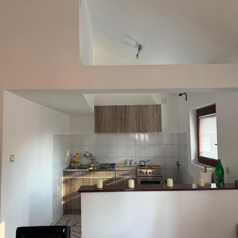 Apartman Tara - Apartman sa 1 Spavaćom Sobom - 4
