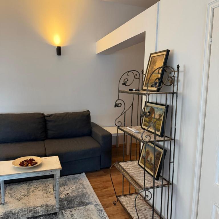 Apartman Tara - Apartman sa 1 Spavaćom Sobom - 10