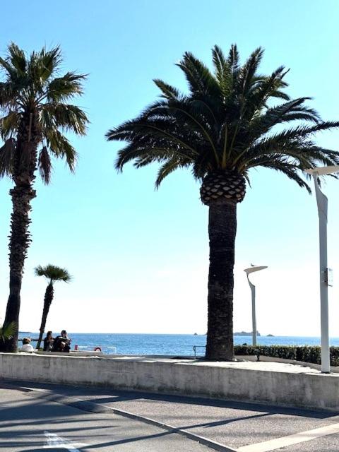 Studio bord de mer - Appartement 1 Chambre - 19