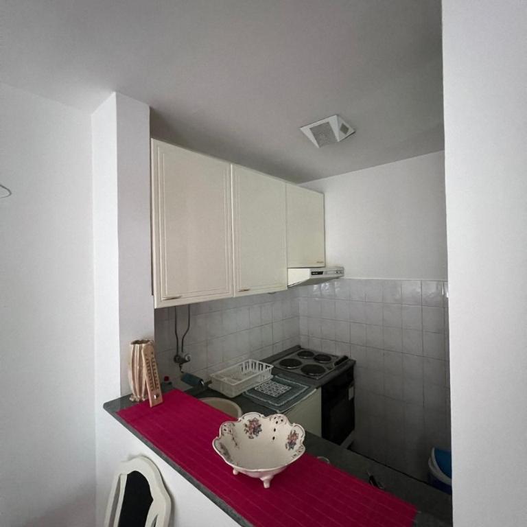 Apartmani Vrnjacka Banja 7 - Apartman sa 1 Spavaćom Sobom - 4