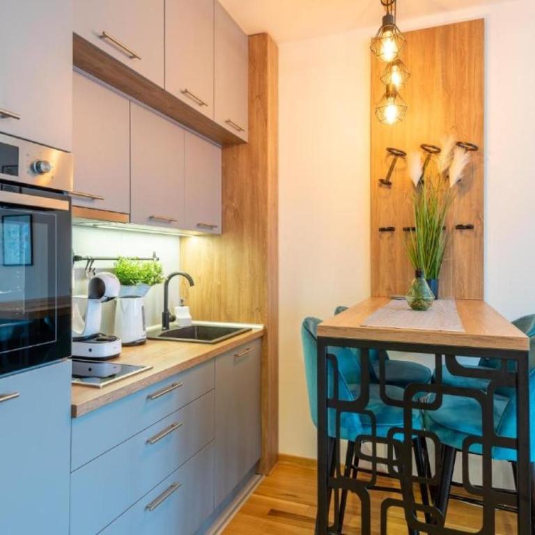 Zlatibor 3 - One-Bedroom Apartment - 32