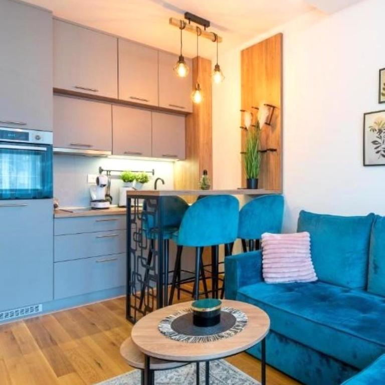 Zlatibor 3 - One-Bedroom Apartment - 64