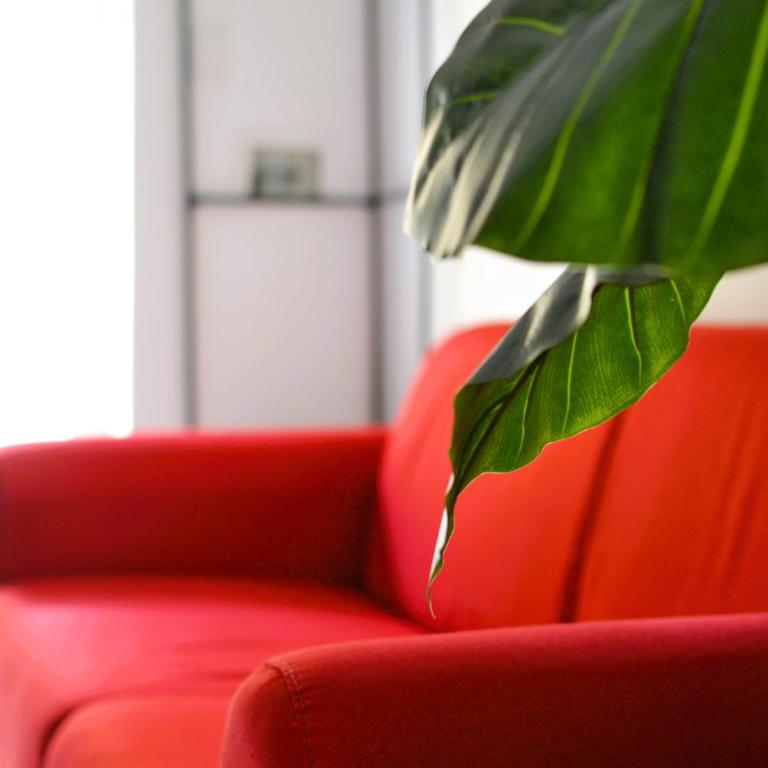 Aurora Residence Tor Vergata-Metro C Torrenova, Free Parking and WiFi - Apartment - Erdgeschoss - 34