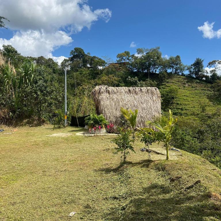 Green view glamping cabin with unlimited Jacuzzi - Habitación Familiar - 10