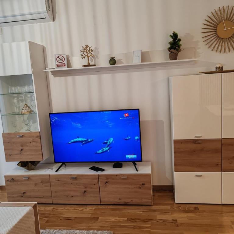 Slatinski mir - Apartman sa 1 Spavaćom Sobom - 1