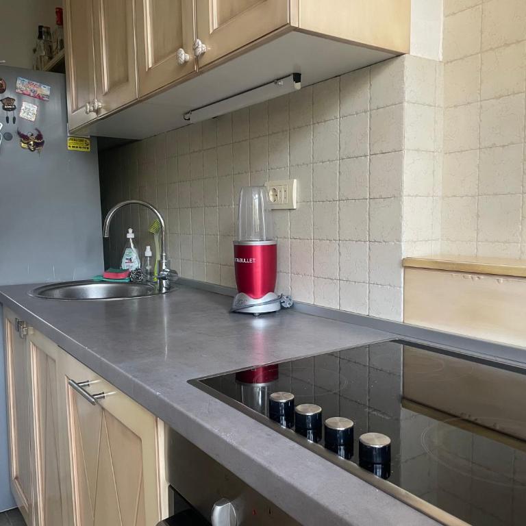 Spacious apartment with 2 bedrooms in City Center, near Parliament and St Marks Church - Apartman sa 2 Spavaće Sobe - 8