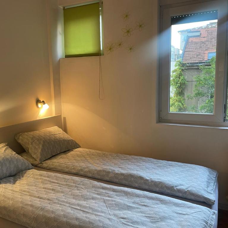 Spacious apartment with 2 bedrooms in City Center, near Parliament and St Marks Church - Apartman sa 2 Spavaće Sobe - 16