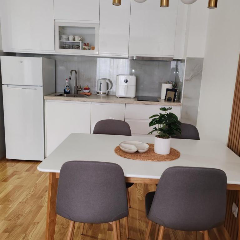 Slatinski mir - Apartman sa 1 Spavaćom Sobom - 2