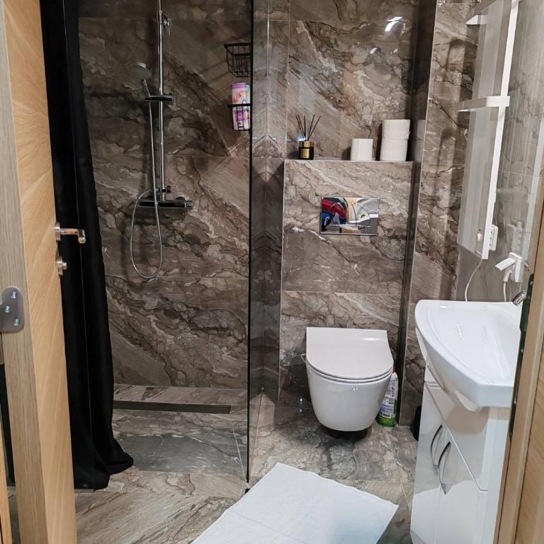 Slatinski mir - Apartman sa 1 Spavaćom Sobom - 13