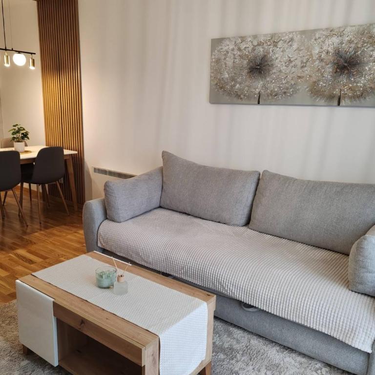 Slatinski mir - Apartman sa 1 Spavaćom Sobom - 15