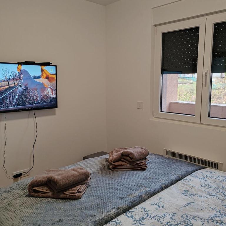 Slatinski mir - Apartman sa 1 Spavaćom Sobom - 17