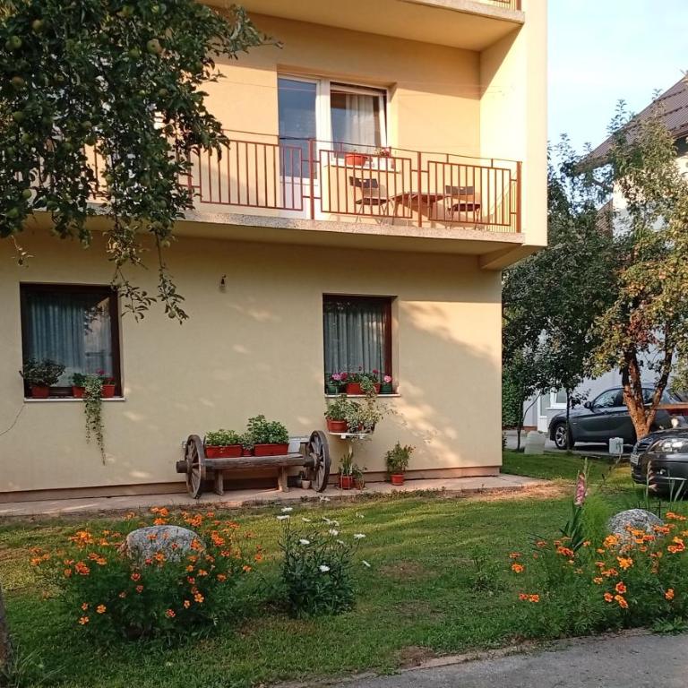 Kleopa - Apartment - 7