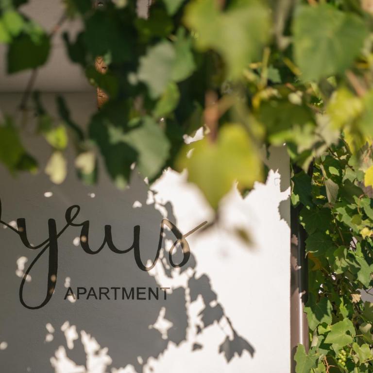 Apartment Pyrus - Appartamento Bilocale - 17