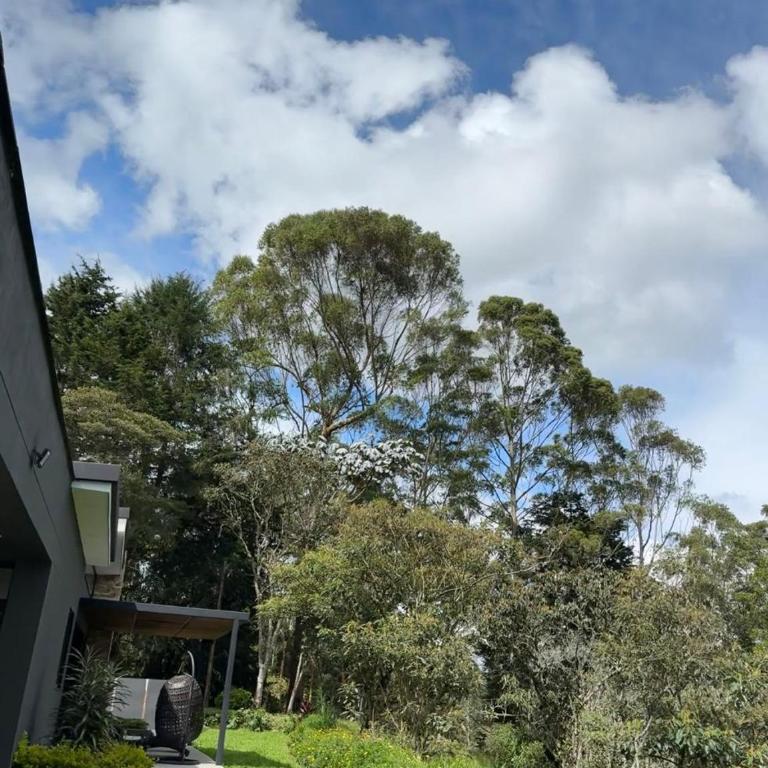 Linda Vista - Villa - 6