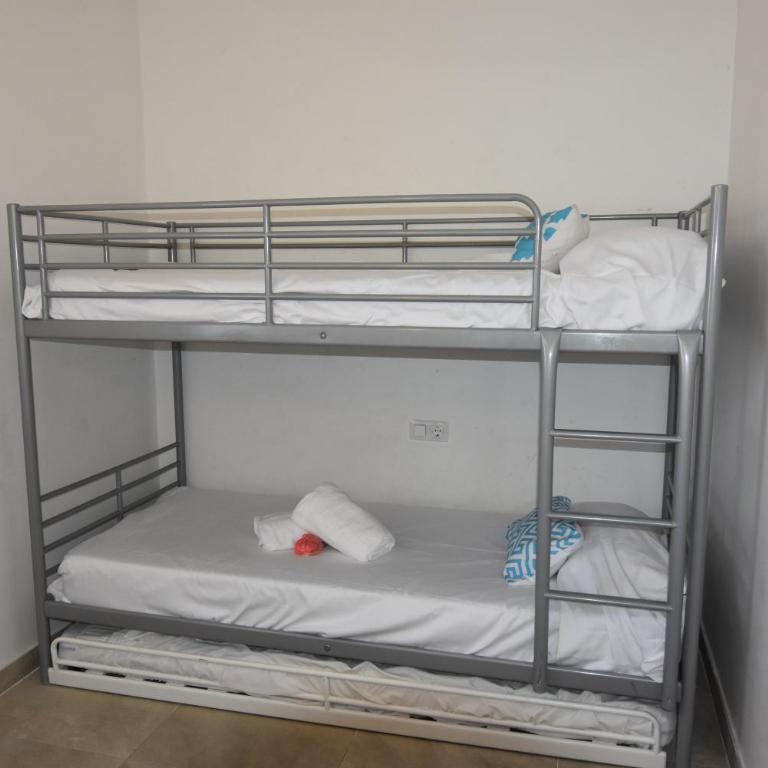 RNET - Apartment Roses Les Marines GREGAL - Apartamento con terraza - 19