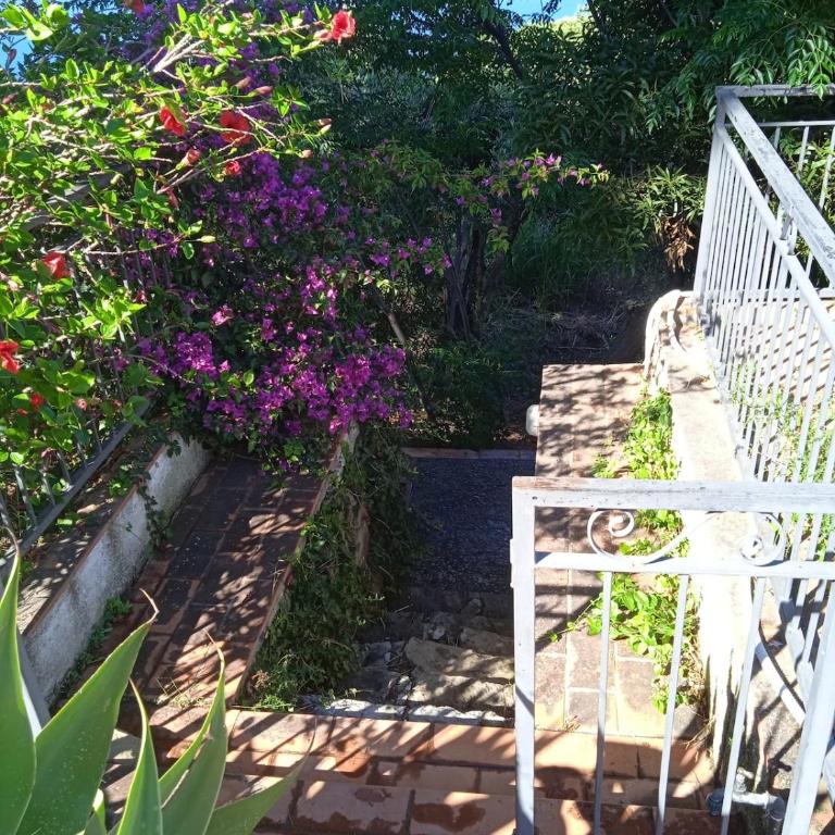 Oasi di Pace - One-Bedroom Apartment - 21