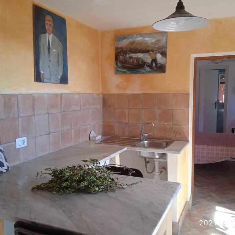 Oasi di Pace - One-Bedroom Apartment - 9