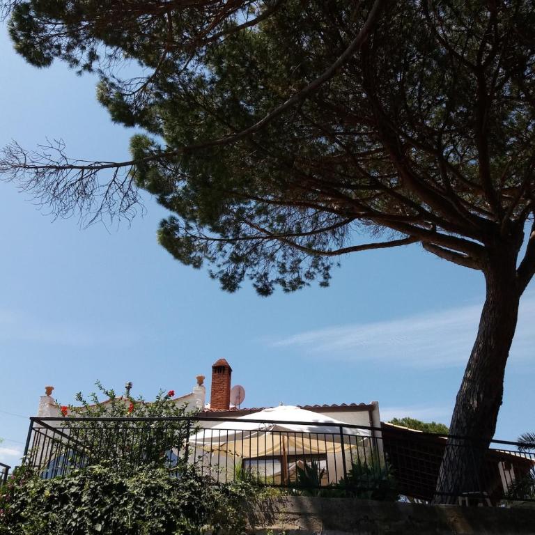 Oasi di Pace - One-Bedroom Apartment - 57