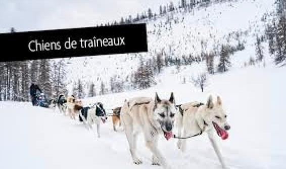 Puy d'Étoiles, Ski aux pieds, 6 pers,superbe 2P cabine - Appartamento con Vista Montagna - 14
