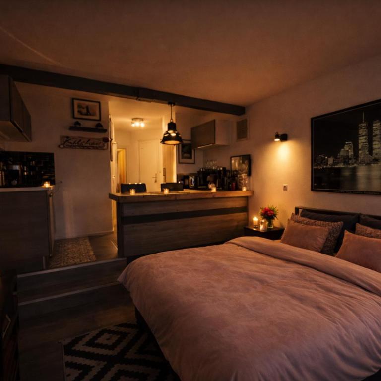 Studio superbe vue mer Port-Deauville, proche Plage, centre-ville et casino - One-Bedroom Apartment - 16