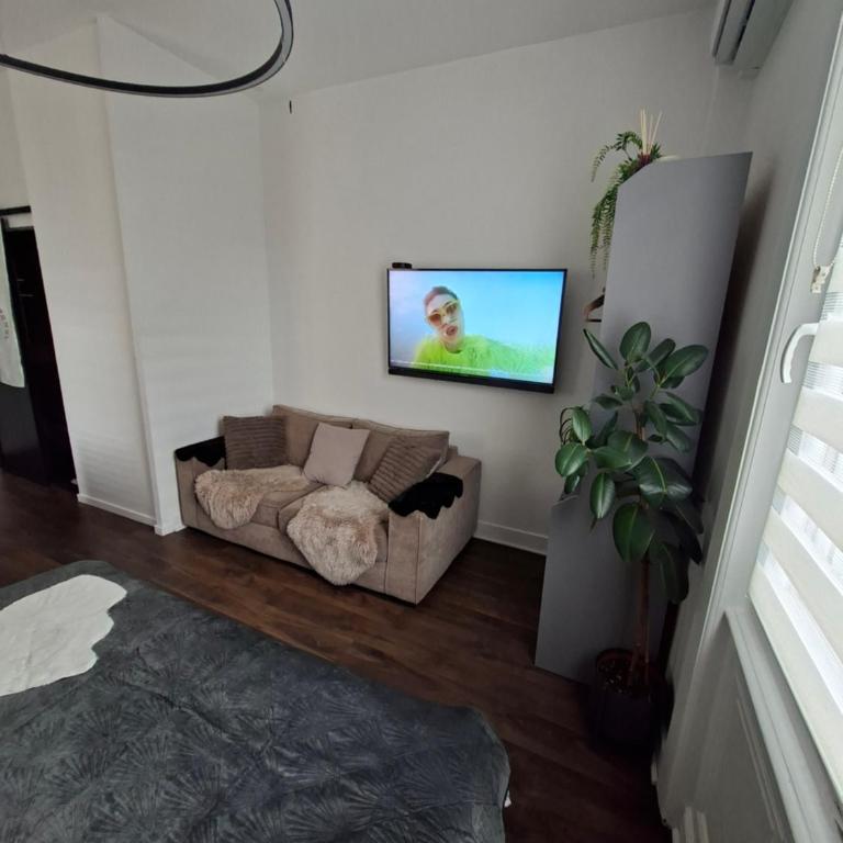 Hôte Stéphanois Studio & parking - Appartement 1 Chambre - 9