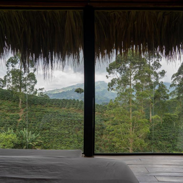 Eco Hotel Glamping El Silencio - Suite Doble Deluxe - Cama grande - 11