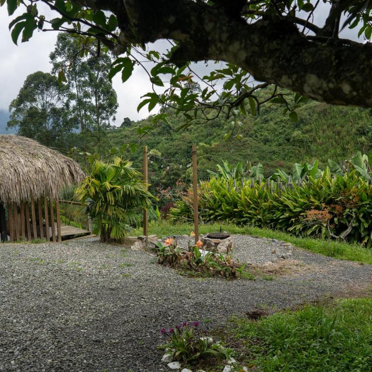Eco Hotel Glamping El Silencio - Suite Doble Deluxe - Cama grande - 16