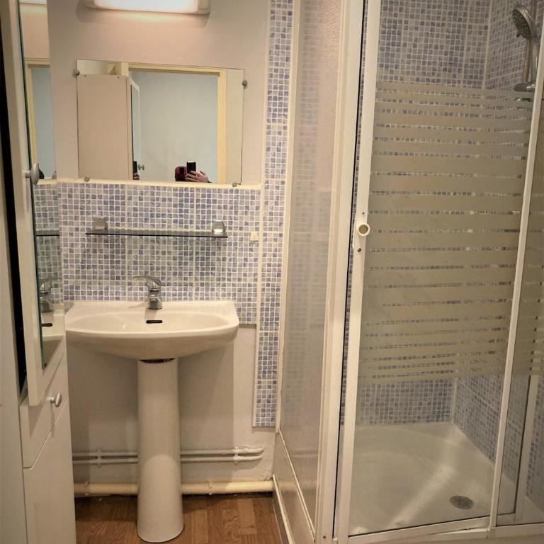 Studio dans l'hypercentre de Limoges - Apartamento de 1 dormitorio - 2
