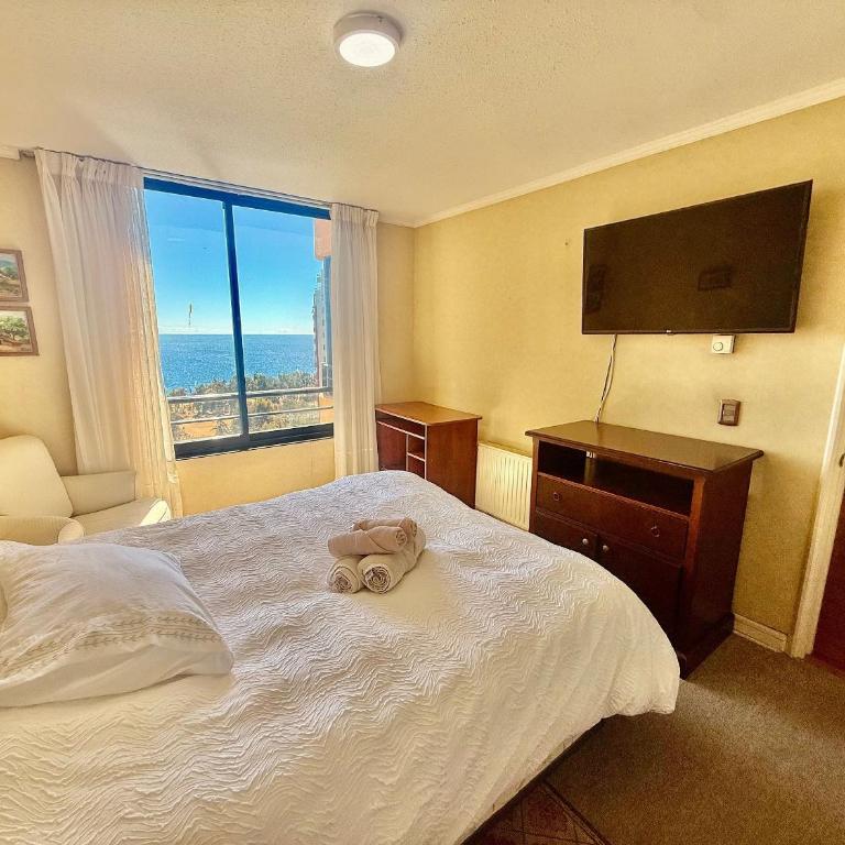 Wonderful apartment with ocean view - Apartment - 5