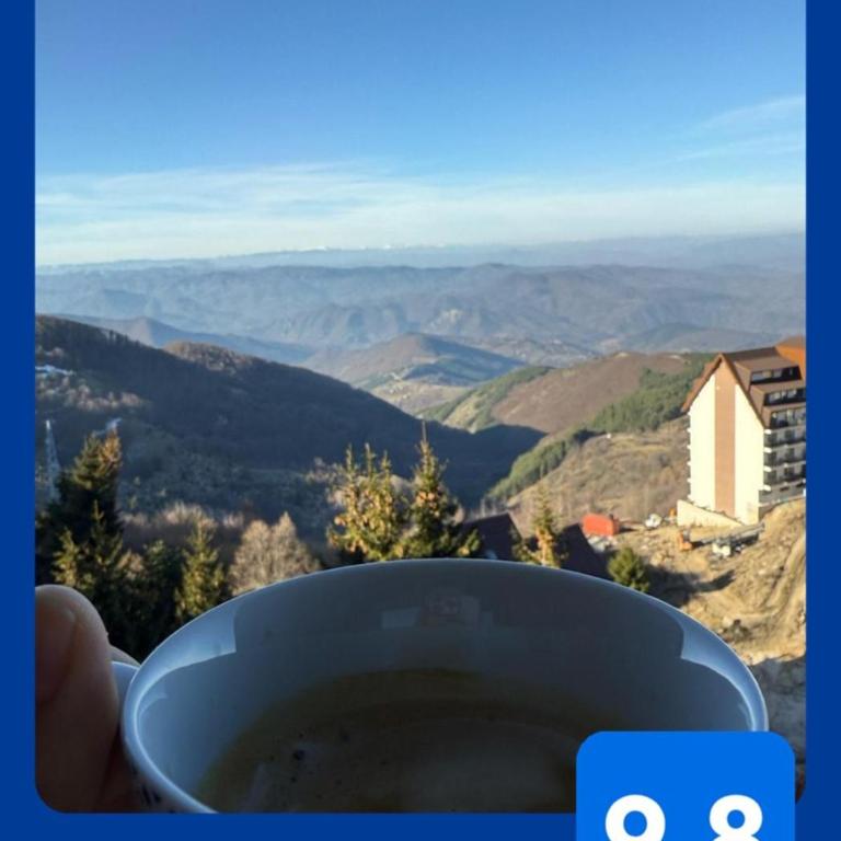 VAB Apartments & SPA, Residence hill, Kopaonik - One-Bedroom Apartment - 13