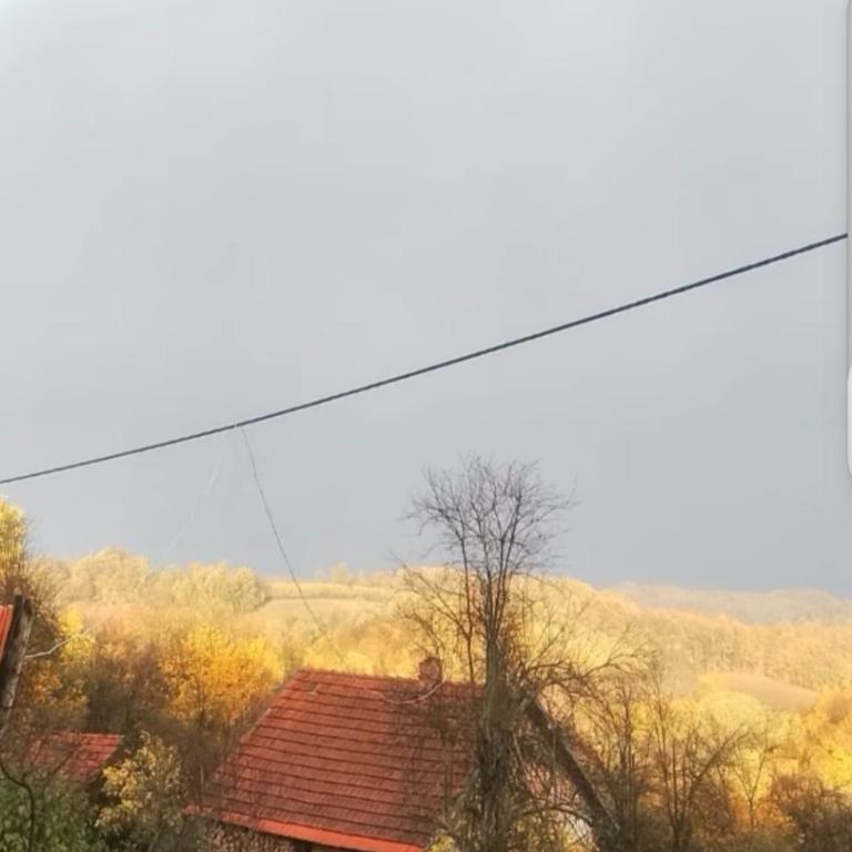 Vikendica Cokori - Kuća sa 3 Spavaće Sobe - 11