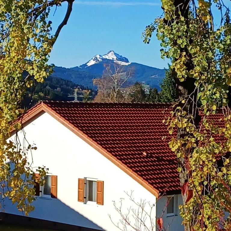 Ferienhaus mit schöner Sonnenterrasse im Feriendorf Reichenbach F15 - Haus mit 3 Schlafzimmern - 14