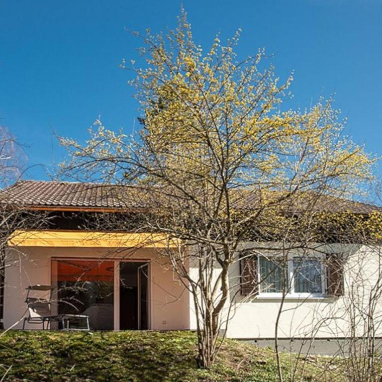 Ferienhaus mit Bergblick im Feriendorf Reichenbach F18 - Haus mit 3 Schlafzimmern - 1