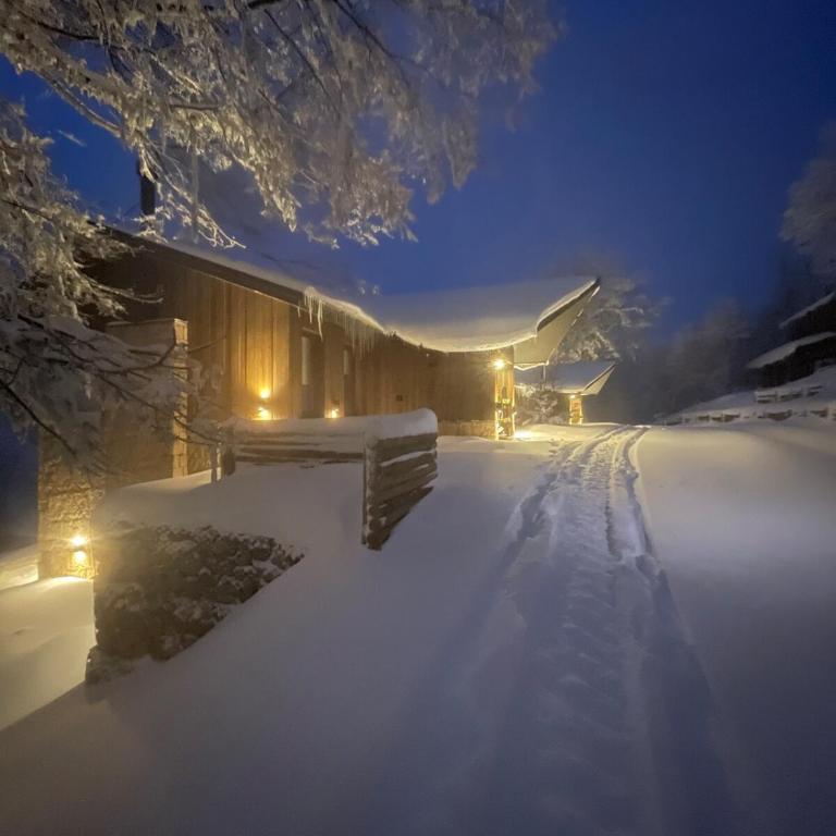 HUS 9 - Ski In Ski Out Cabin overlooking Lanin - Villa de 3 dormitorios - 2