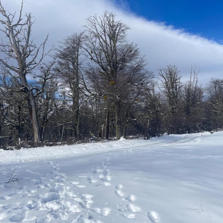 HUS 9 - Ski In Ski Out Cabin overlooking Lanin - Villa de 3 dormitorios - 17