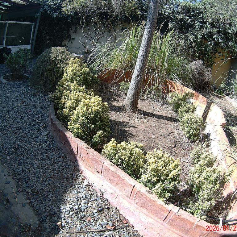 Casa algarrobo mirasol - Three-Bedroom Apartment - 4