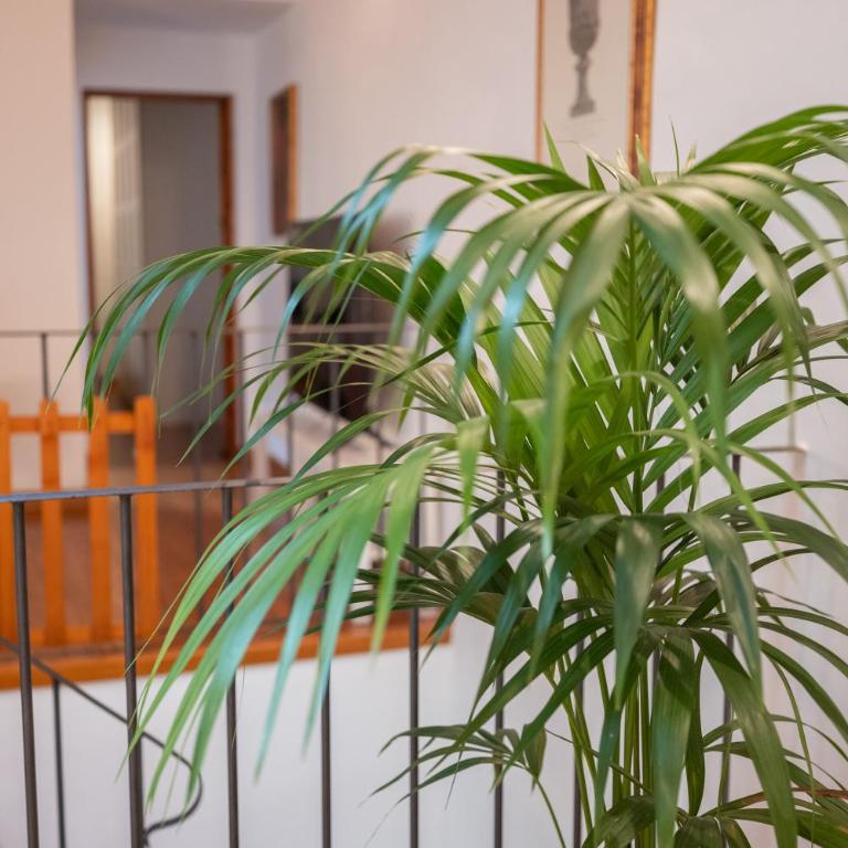 San Niccolo Luxury House - Appartamento con 2 Camere da Letto - 35