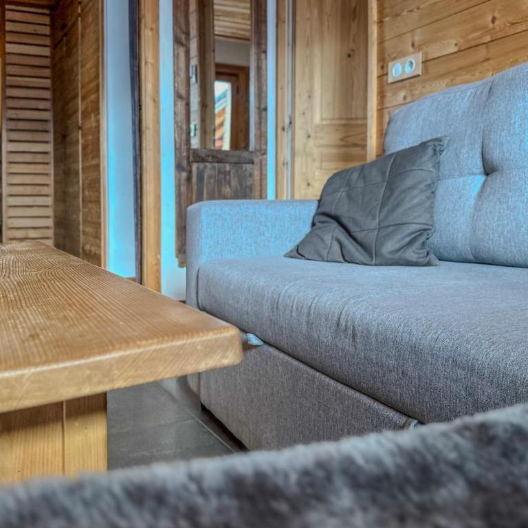 #AH11 Le charmeur des montagnes - Appartement - 14