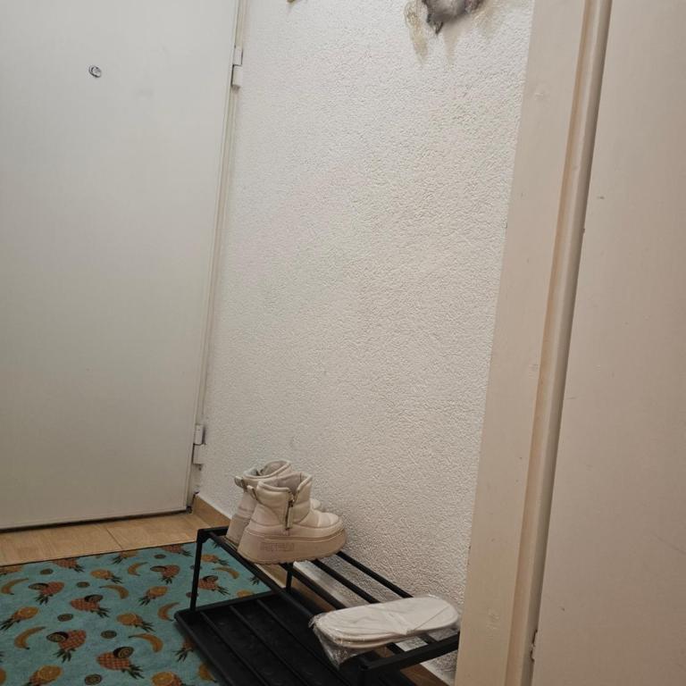 Happy apartment-OldTown Sarajevo - Apartman sa 1 Spavaćom Sobom - 20