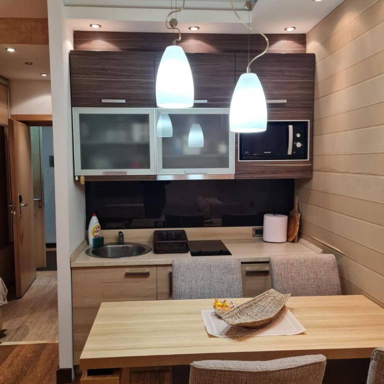 Apartmani Iva Kop Konaci Koznik402 - One-Bedroom Apartment - 12