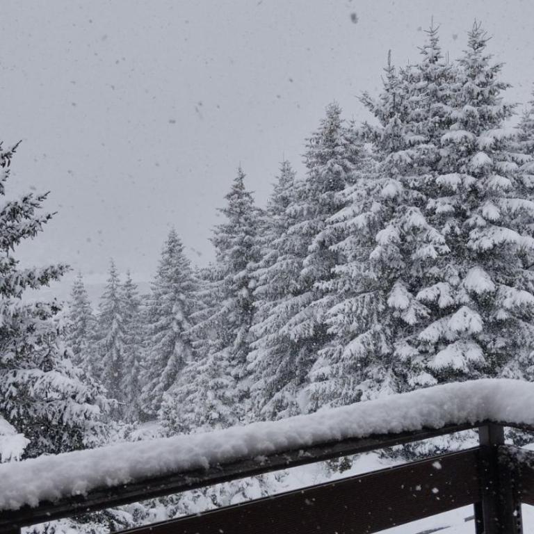Vila Tea Durmitor - Chalet - 41
