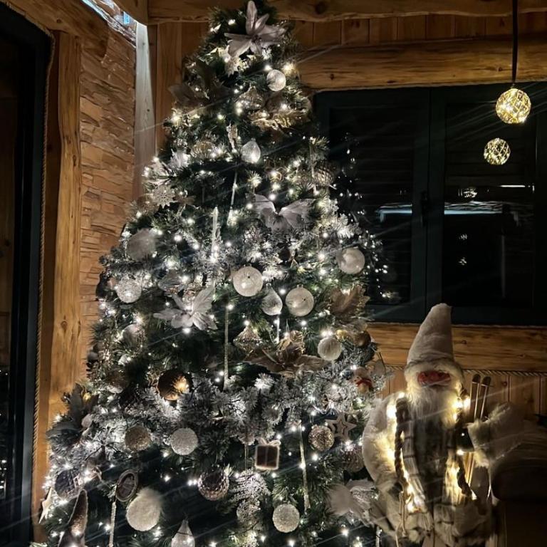 Vila Tea Durmitor - Chalet - 40