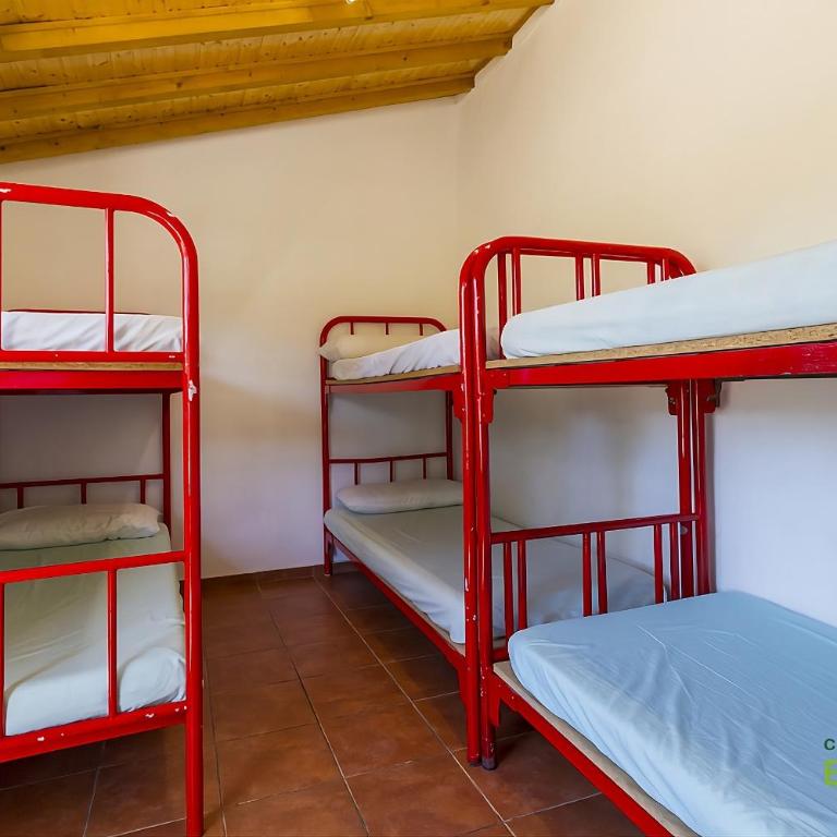 Running of the Bulls All Inclusive Camping Pamplona - Single Bed in Mixed Dormitory Room - 4