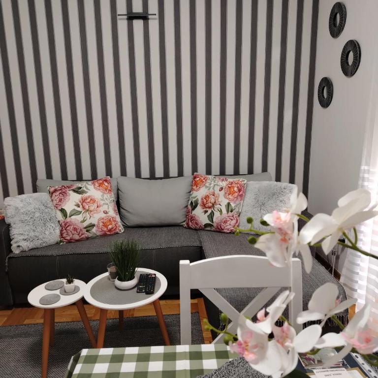 Apartman Harmonija Vrnjačka Banja - Apartman sa 1 Spavaćom Sobom - 5