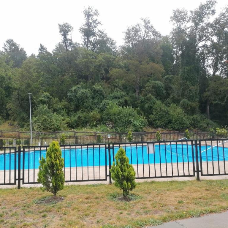HOM I Casa Familiar I Pucon I Parking I Piscina - Apartment - 22